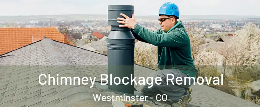 Chimney Blockage Removal Westminster - CO