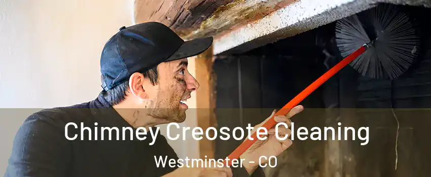 Chimney Creosote Cleaning Westminster - CO