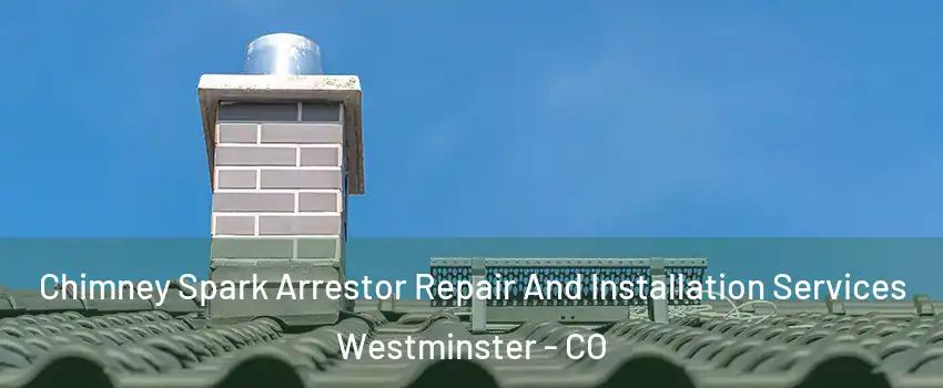 Chimney Spark Arrestor Repair And Installation Services Westminster - CO